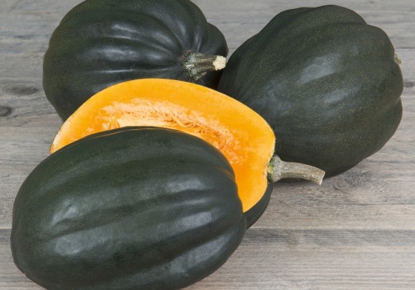Cucurbita species Green Tangerine