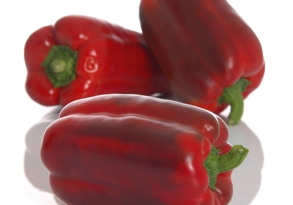 Capsicum annuum (capsicum)  Torelus Red