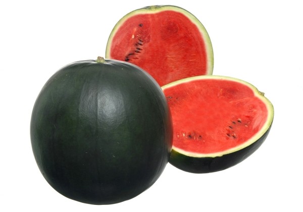 Citrullus lanatus Fire Ball