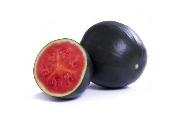 Citrullus lanatus Conguita F1
