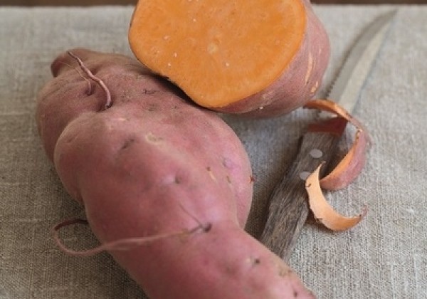 Ipomoea batatas Erato Orange (BIO)