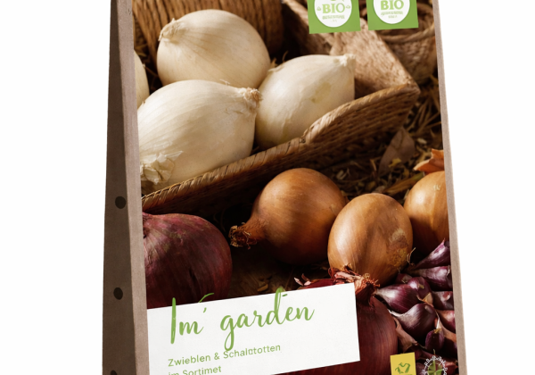 Gladiolus White Prosperity 12/14