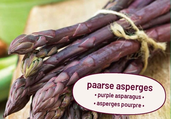Asparagus Erasmus