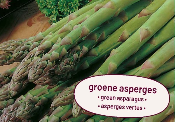Asparagus Gynlim