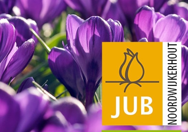 Crocus vernus Flower Record (BIO) 7/8