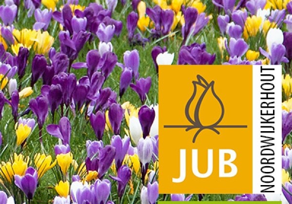 Crocus Maastricht (BIO)