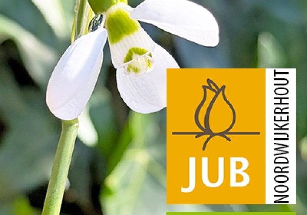 Galanthus nivalis Polar Bear  (BIO) 7/+