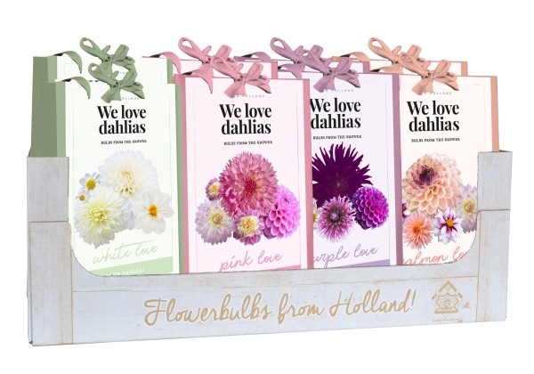 Dahlia hortensis We Love Dahlias - Mix (kaste + 12 pakas)