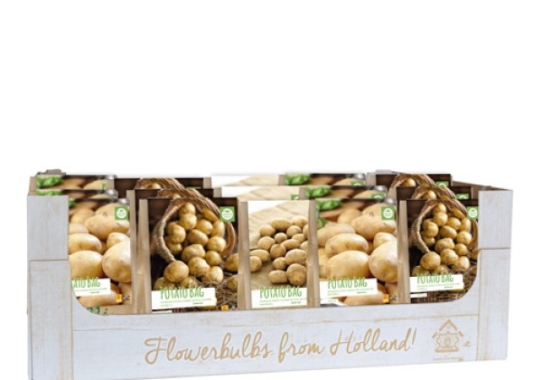 Solanum tuberosum Very Early Potatoes 28/35 (kaste + 21 paka)