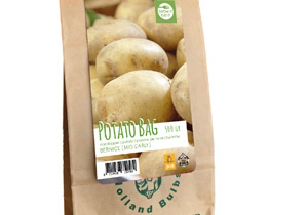 Solanum tuberosum Potato bag Bernice 28/35 (500 g)