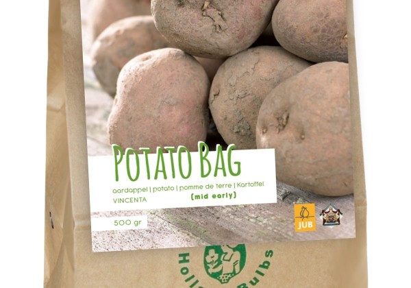 Solanum tuberosum Potato bag Vincenta 28/35 (500 g)