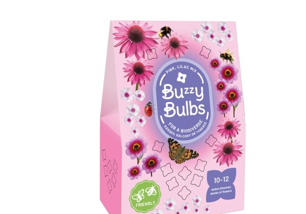 Sīpolpuķu maisījums Buzzy Bulbs Pink - Lilac