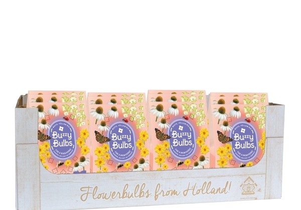 Sīpolpuķu maisījums Buzzy Bulbs White - Yellow (kaste + 12 pakas)