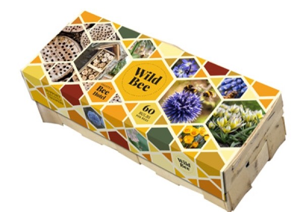 Sīpolpuķu maisījums Wild Bee Hotel