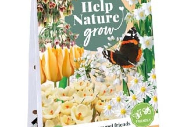 Sīpolpuķu maisījums Help Nature Grow - Caramel Friends