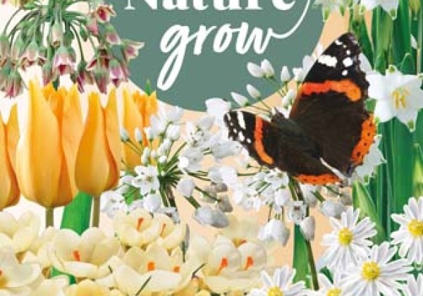 Sīpolpuķu maisījums Help Nature Grow - Caramel Friends