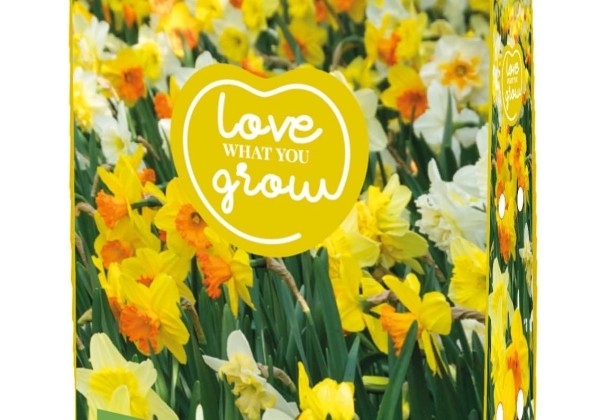 Sīpolpuķu maisījums Love What You Grow - Narcissus