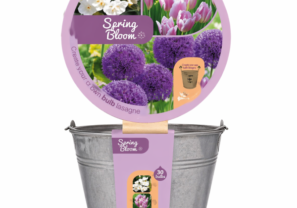 Lazanjas sīpolpuķu maisījums Bucket Spring Bloom