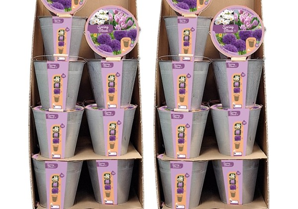 Sīpolpuķu maisījums Bucket Spring Bloom - 48