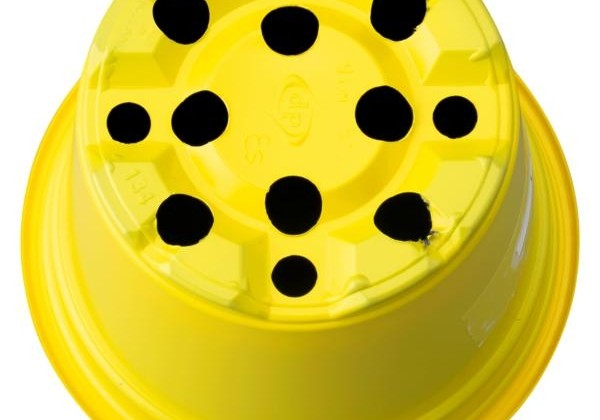 Puķu pods 9 cm, dzeltens