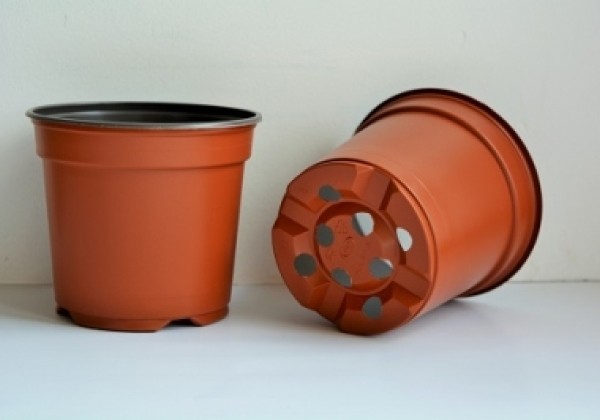 Puķu pods 10 cm, brūns (palete)