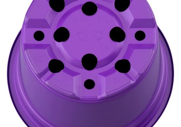 Puķu pods 13 cm L, purpura