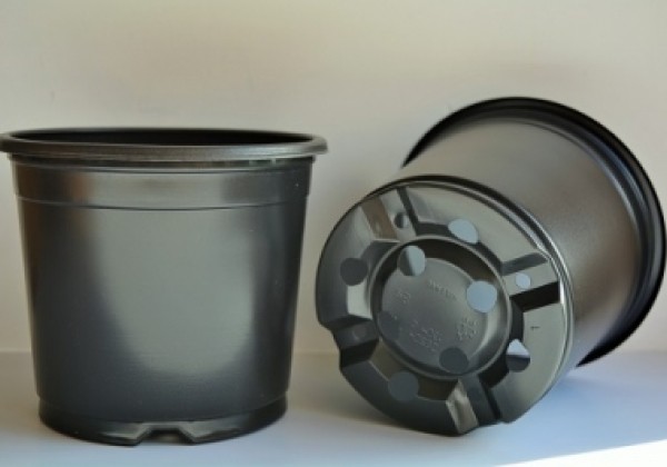 Puķu pods 13 cm L, sarkans
