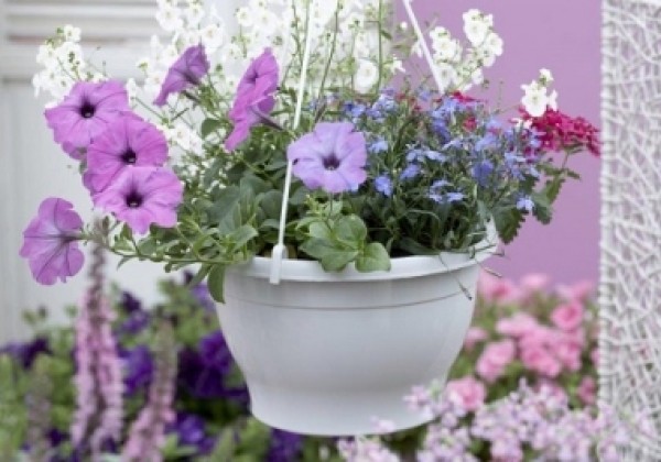 Iekarināmais pods Jacinta 25 cm, balts