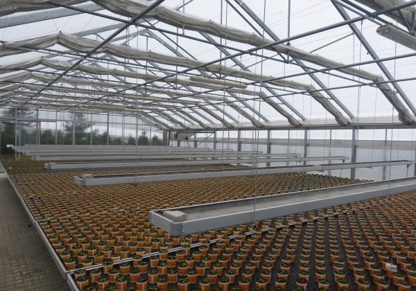 Bīdāmie, pludināmie siltumnīcu galdi 5,0 × 1,80m