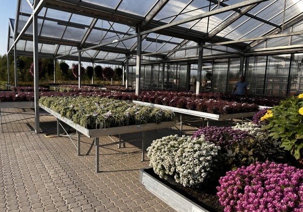 Stacionārie pludināmie siltumnīcu galdi 5,0 × 1,80m