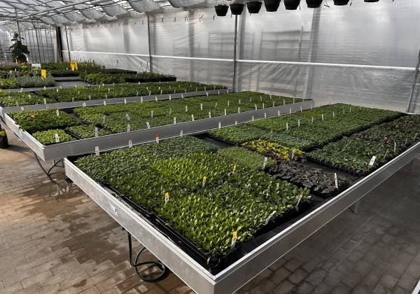 Saliekamie pludināmie siltumnīcu galdi 5,0 × 1,01 m