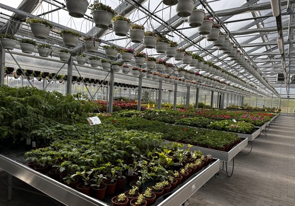 Saliekamie pludināmie siltumnīcu galdi 5,0 × 1,01 m