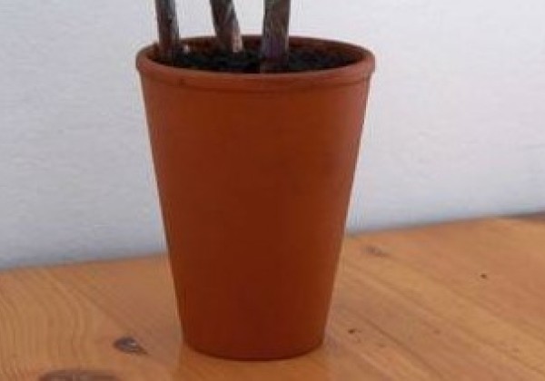 Puķu pods 9 cm, māla