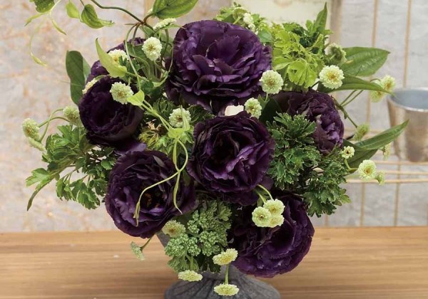 Lisianthus russelianum Rosanne 1 Black Pearl