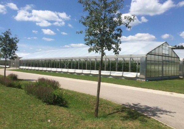 Dubultplēves termo siltumnīca 300 m2 ar montāžu