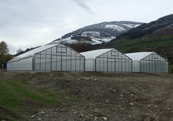 Dubultplēves termo siltumnīca 300 m2 ar montāžu