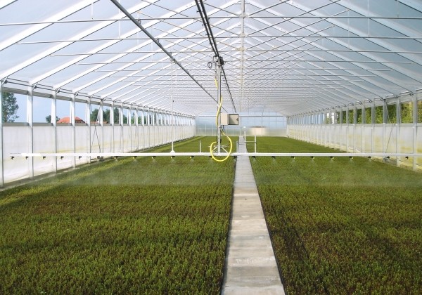 Dubultplēves termo siltumnīca 400 m2 ar montāžu