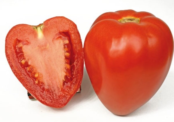 Solanum lycopersicum Fleurette