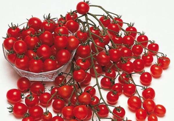 Solanum lycopersicum Pepe F1