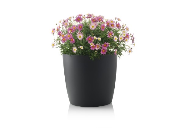Dekoratīvais pods Ella 30 cm, pelēks
