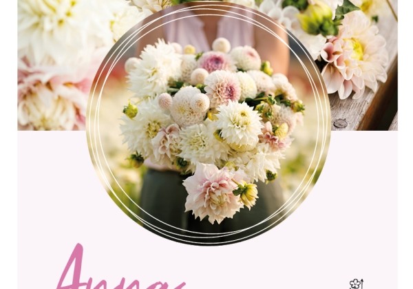 Dahlia hortensis Anna