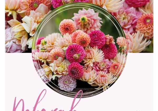 Dahlia hortensis Deborah