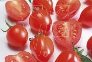 Solanum lycopersicum Evita Classic (PHBT410080)
