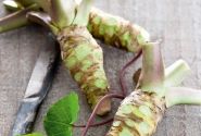 Wasabia japonica Mephisto Green (BIO)