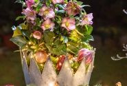 Helleborus glandorfensis HGC Ice N Roses Pink Promise (15 cm)
