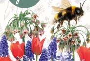 Sīpolpuķu maisījums Help Nature Grow - Happy Bee Mix