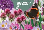 Sīpolpuķu maisījums Help Nature Grow - Violet Friends