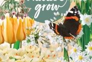 Sīpolpuķu maisījums Help Nature Grow - Caramel Friends