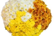 Chrysanthemum Confetti Garden Mantle