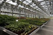 Saliekamie pludināmie siltumnīcu galdi 5,0 × 1,21 m
